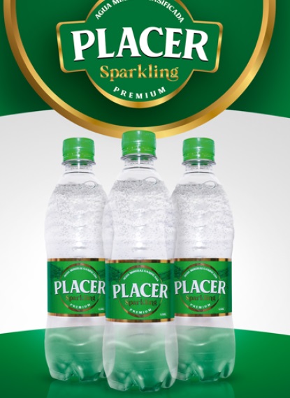 AGUA GASIFICADA PLACER 0,500 L 6 UND